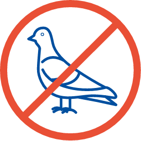 lutte-contre-eloignement-pigeons-goelands-la-pyreneenne